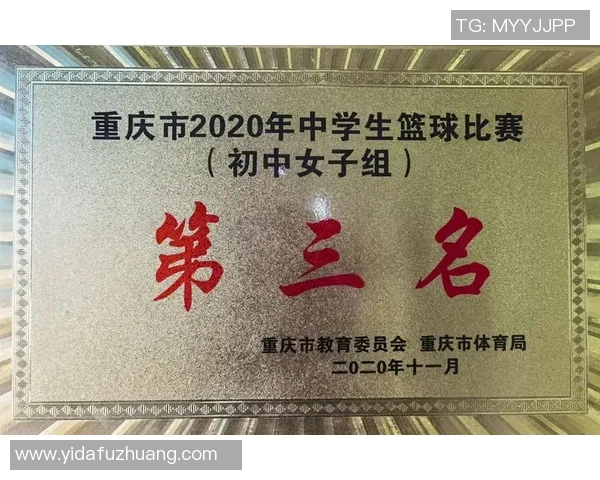 重庆篮球队强势崛起最新力量排行榜前十名揭晓